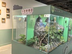 -上海大自然野生昆虫馆(东方明珠·爬宠昆虫探索中心)
