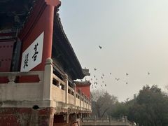 -洛阳白马寺