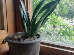 -时光花园(白鹭洲店)