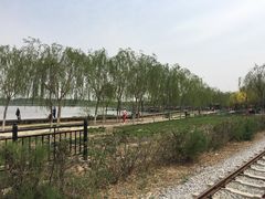 -西青郊野公园
