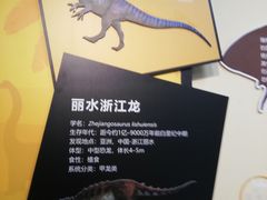-浙江自然博物院(杭州馆)