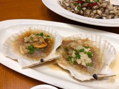 大扇贝-高佳庄·舟山海鲜(海景旗舰店)