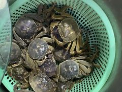 -海盗船. 龙虾烧烤. 酒馆