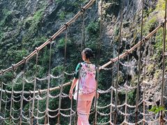 -牛背梁国家森林公园