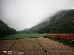-广州市石门国家森林公园