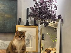 -咖法森林·咖啡  酒吧(天河店)