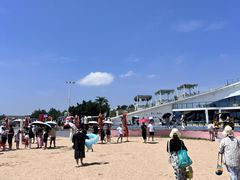 -日照海滨国家森林公园