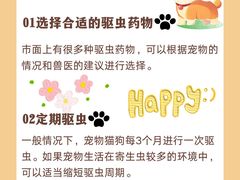 -美联众合动物医院·24h转诊中心