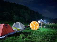 -武陵山森林公园