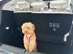 -小鹏汽车体验中心(苏州龙湖狮山天街店)