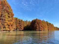 -上海海湾国家森林公园