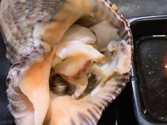 白灼海螺沾酱油芥末-丹东特色烤肉(学府路一部店)
