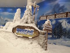 -长沙湘江冰雪世界