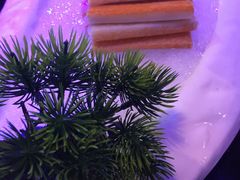 -狼爱上羊音乐火锅