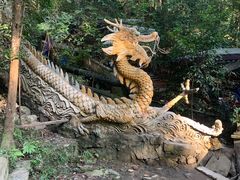 -都江堰普照寺