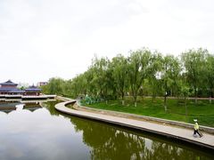 -雁滩公园