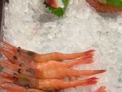 -月龍吟(朝龙汇店)