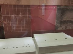 -衢州市博物馆