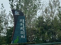 -泗洪洪泽湖湿地景区