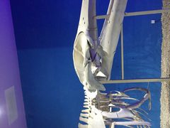 -福州罗源湾海洋世界旅游区