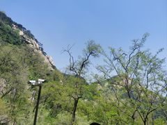 -泰山风景名胜区