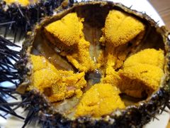 -海胆小馆(东北水饺·春柳店)