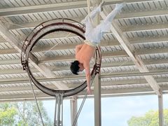 -泉州海丝野生动物世界