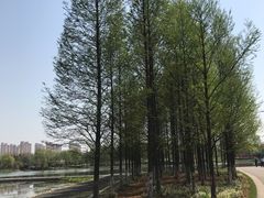 -尚贤河湿地