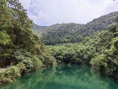 -紫云谷景区