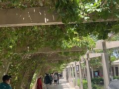 -敦煌石窟文物保护研究陈列中心