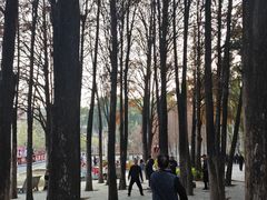 -金砂公园