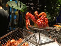 -广州富力君悦大酒店·凯菲厅