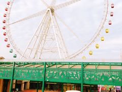 -江南环球港