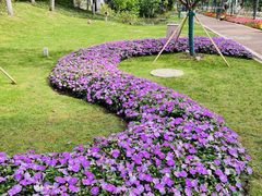 -武汉园博园(武汉自然博物馆)