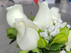 -广交会威斯汀酒店