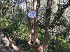 -上海佘山国家森林公园天马山园