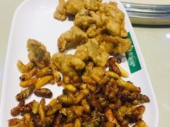 -爱膳菌锅锅(阳南店)