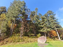 -五营红松林海景区