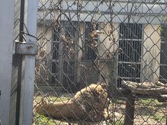 -合肥野生动物园