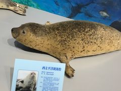 -大连自然博物馆·地球展厅