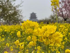 -古柏渡飞黄旅游区