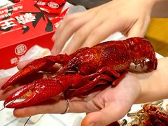 -霸王虾·麻辣小龙虾(清水河公园店)