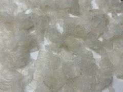 -百姓百味海鲜酒楼(粤垦路总店)