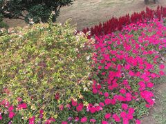 -艾溪湖湿地公园