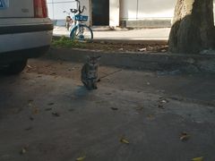 -小象钓虾·营地烧烤(洛溪店)