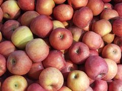 -全而廉(靖宇中路店)