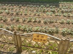 -重元寺香积厨素斋馆