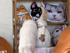 -小时光咖啡馆(开森度假森林店)