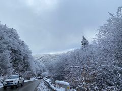 -秦岭风景区