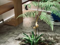 -光作面包Voila Lumiere(中山店)